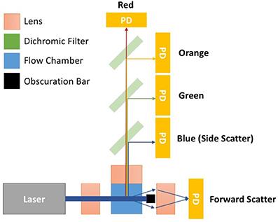 Extracellular Vesicle Flow Cytometry Analysis and Standardization